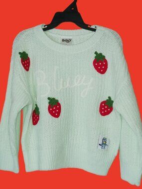 NWT Bluey Strawberry Sweater – 3T